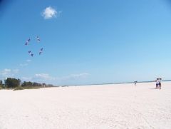 Bob, Star, Jay, Kelly -- Fun in Clearwater FL