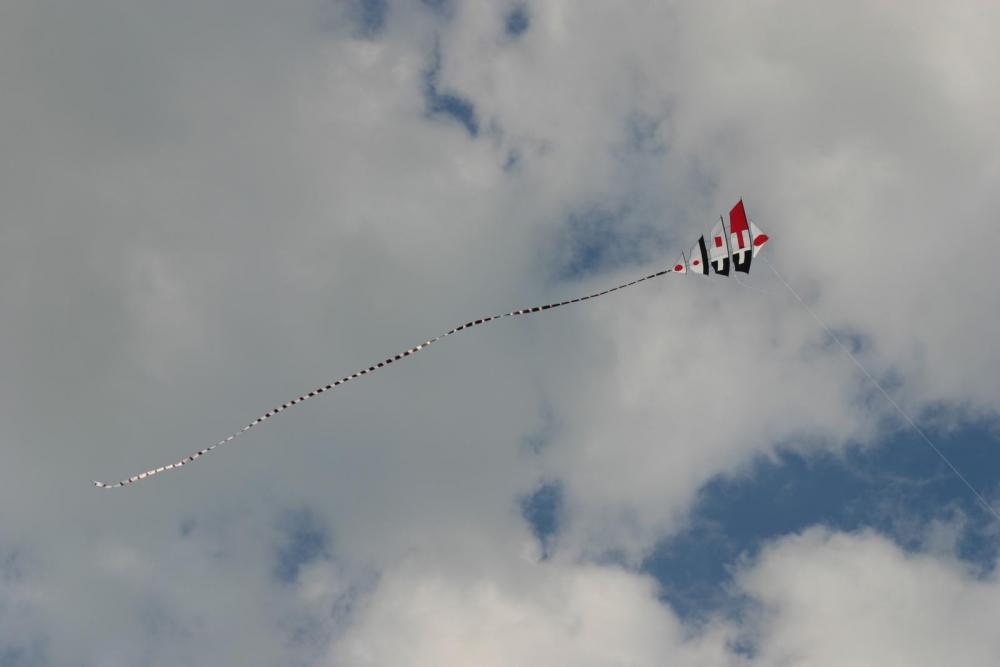Safety Harbor Seafood Fest and Bridge Flying