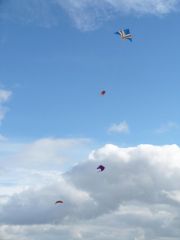 White Horse Kite Flyers