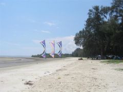 IMG_2817.JPG
