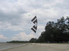 IMG_2808.JPG