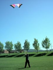 High Fly Rev Indoor.JPG