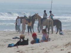 IMG_0705_1.JPG