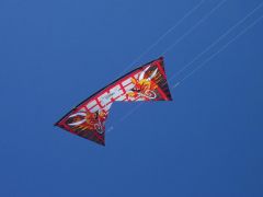 100_0916.JPG