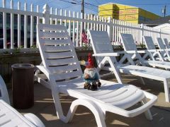 The Traveling Gnome in Wildwood