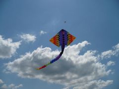 Brighton Kiteflyers' Manta Ray