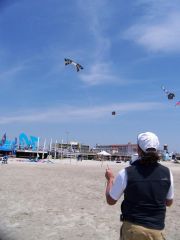 Look who is flying a REV.......... 