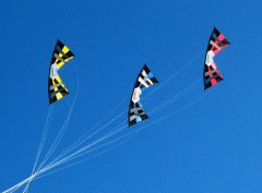 IMG_0291.jpg