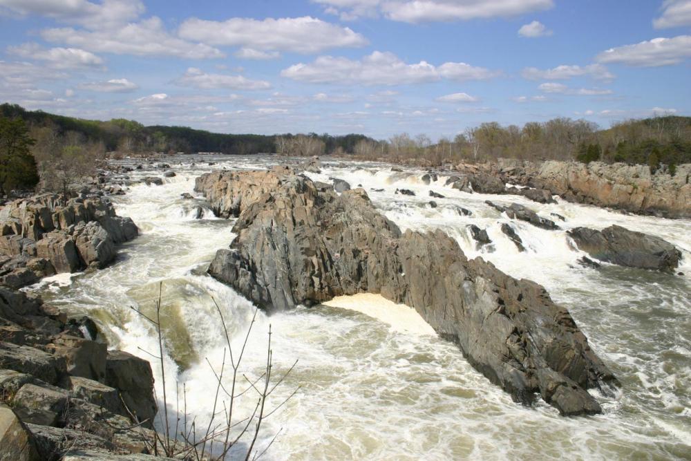 Great Falls  VA 2008