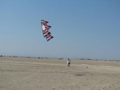 IMG_1589.JPG