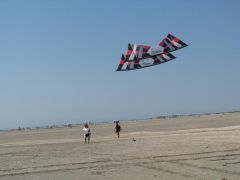 IMG_1590.JPG