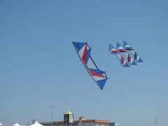 IMG_1595.JPG