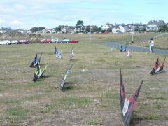 CloverPt. Clinic 014.jpg