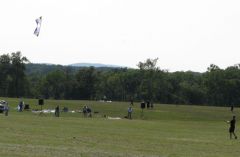 IMG_3108a.jpg