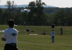IMG_3117a.jpg