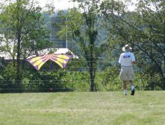 IMG_3078a.jpg