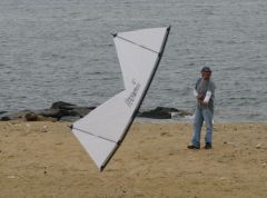 IMG_3401a.jpg