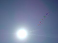 little kites