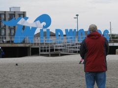 IMG_3652a.jpg