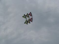IMG_3648.JPG