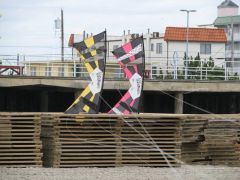 IMG_3647.JPG