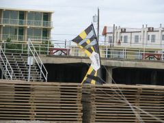 IMG_3645.JPG
