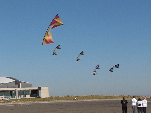 Wayne flying Mango