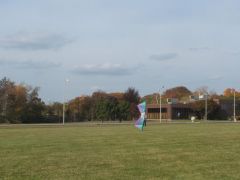 DSCF2137.JPG
