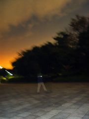 DSC14199A.jpg
