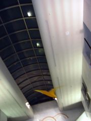 DSC14213a.jpg