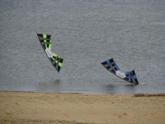 IMG_4178.JPG