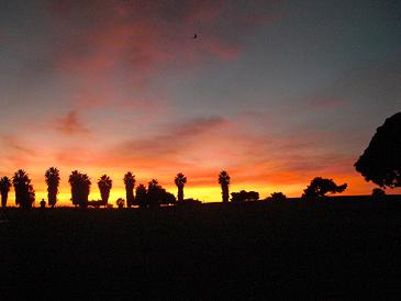 Mission Bay sunset