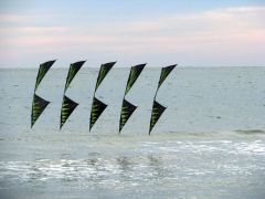 IMG_4638.JPG