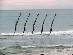 IMG_4635.JPG