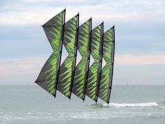 IMG_4640.JPG