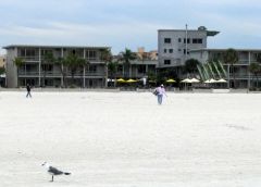 IMG_4646a.jpg