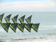 IMG_4634.JPG