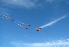 IMG_4681.JPG