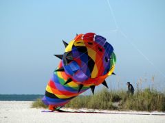 IMG_4705.JPG