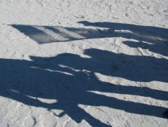IMG_4682a.jpg