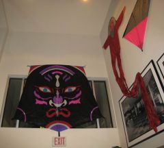 Thunderbird kite display.JPG