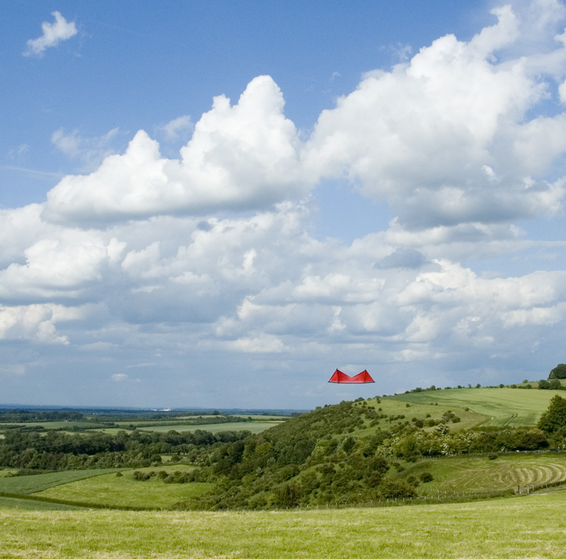 "Little Red's" Rev II maiden flight ;)