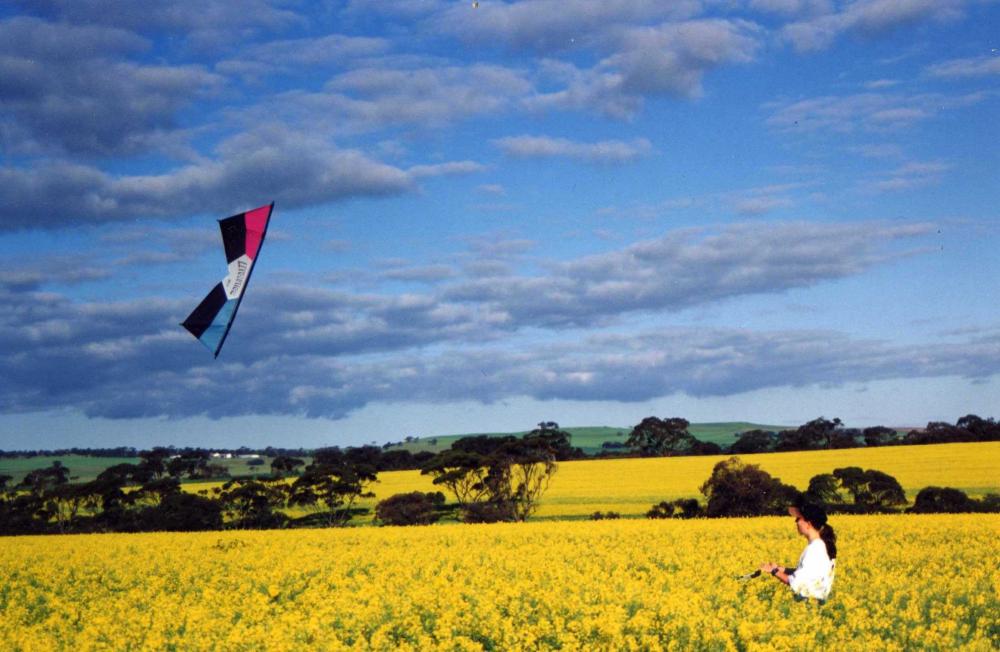 My kites here down under