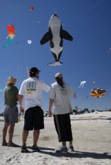 orca.jpg