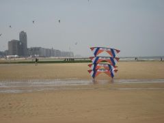 IMG_0130.jpg