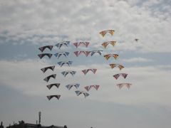 IMG_0145.jpg
