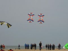 IMG_0105.jpg