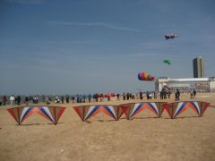IMG_0141.jpg