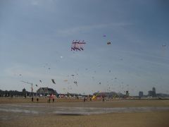 IMG_0131.jpg