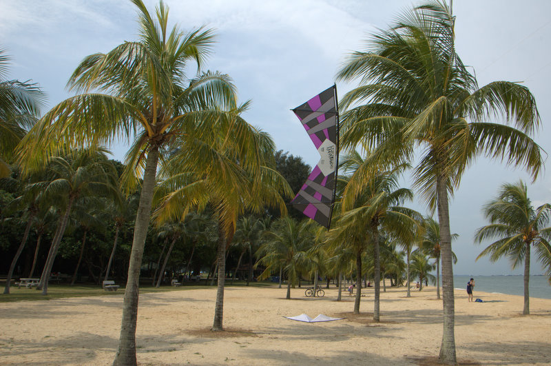 Exotic climes